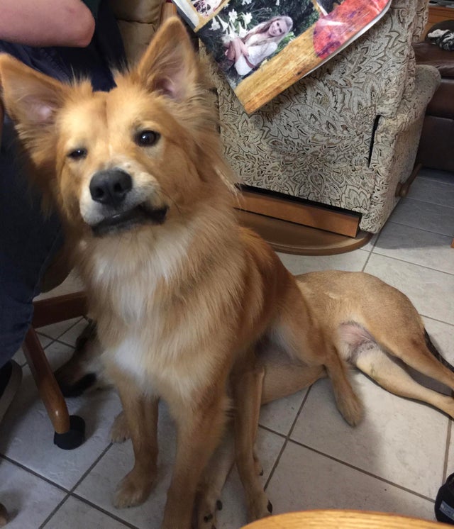 3. "Am gasit un scaun confortabil"