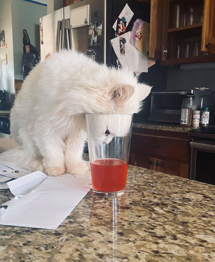 4. "Asa poti afla daca iti place ceva"