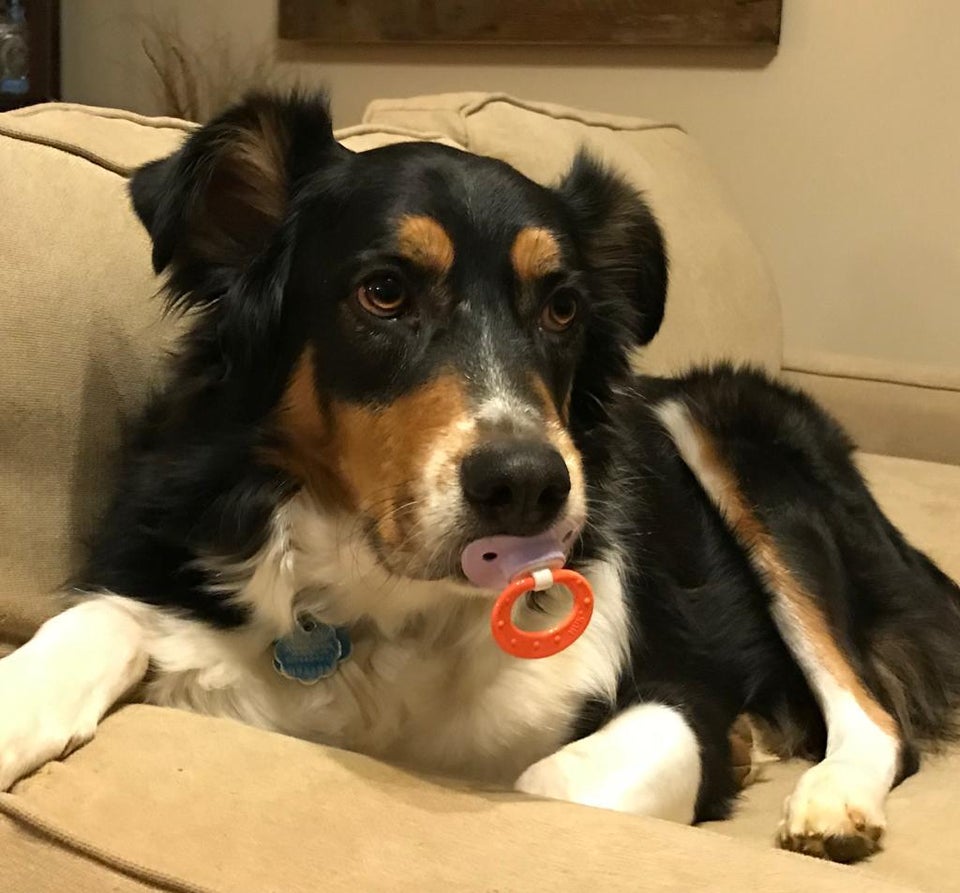 5. "A furat suzeta copilului"