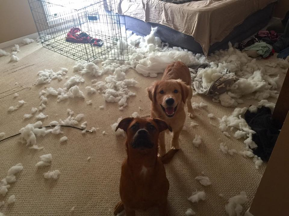 6. "Bine ai venit acasa"