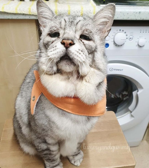 7. "Toby are o tulburare genetica care ii face pielea extrem de slabita, dar asta nu-i ia frumusetea"