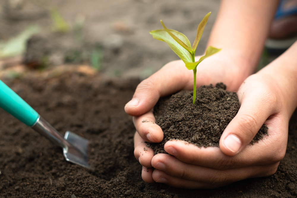 Se evită muncile agricole