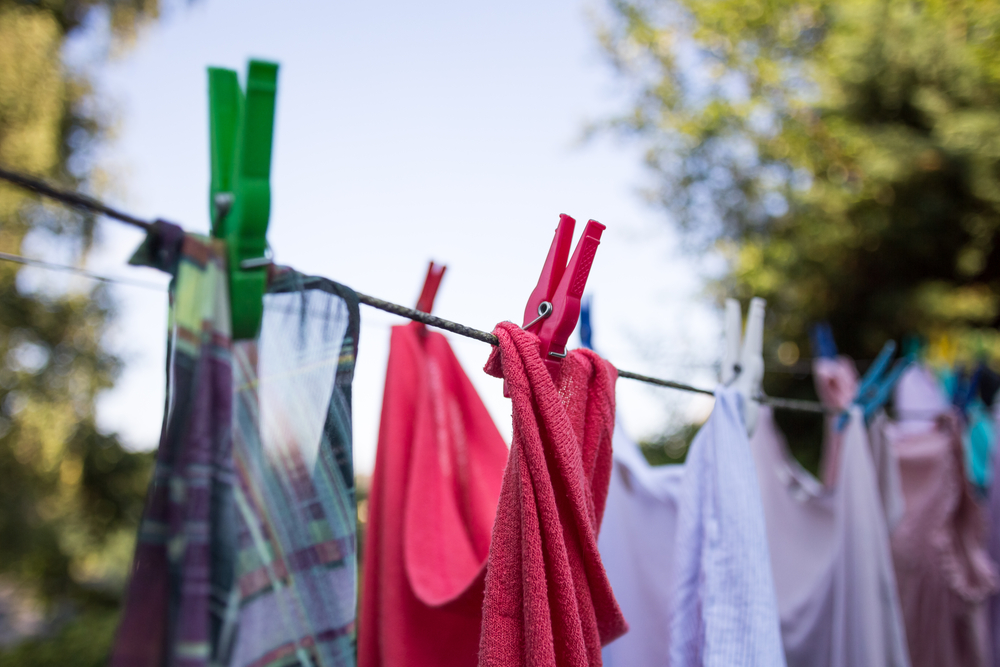 Nu coși, nu speli, nu faci borș