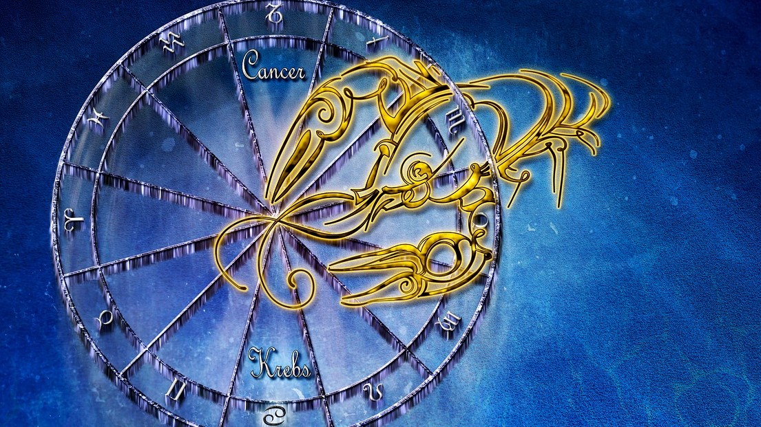 Rac - om de afaceri nativ, care muncește cu drag