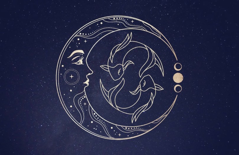 Pești - cel mai puțin interesat de lumea materială și de competiție