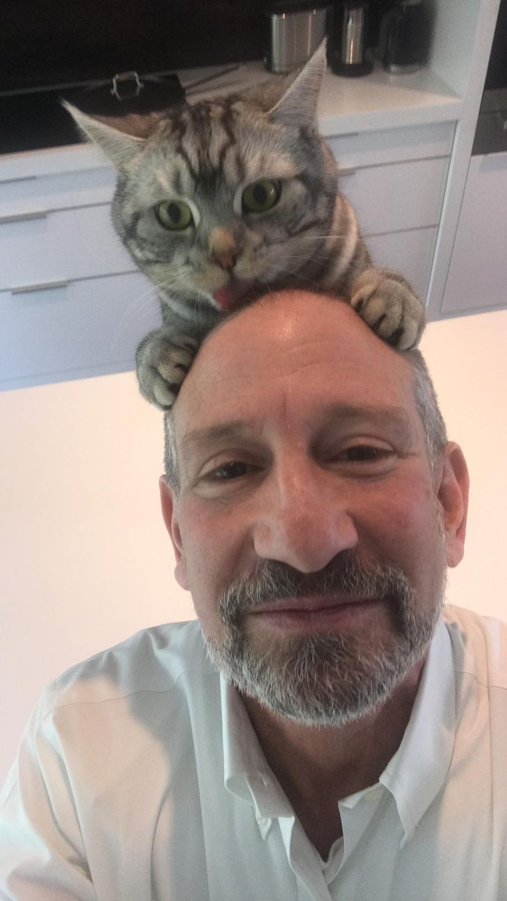 Munca de acasă și animalele de companie