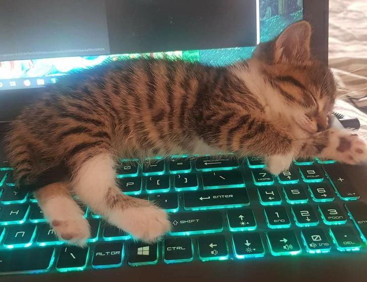 „Este atât de mică încât nu apasă tastele”