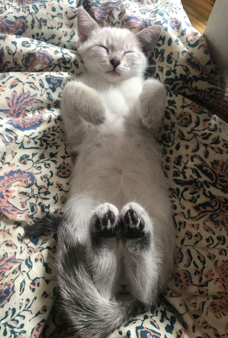 „Mereu doarme în poziția aceasta și nu înțeleg de ce...”