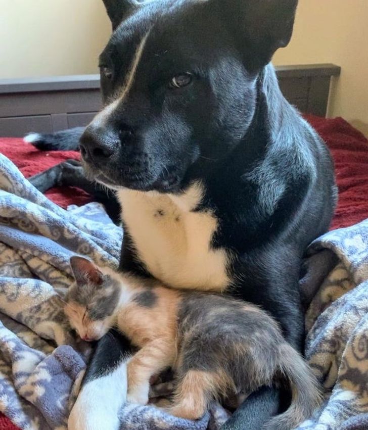 „Se poartă de parcă nu-i pasă, dar mereu are grijă de ea”