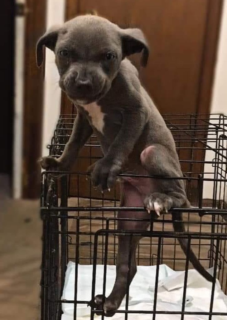 „Găsirea unei căi spre libertate poate face pe oricine furios”