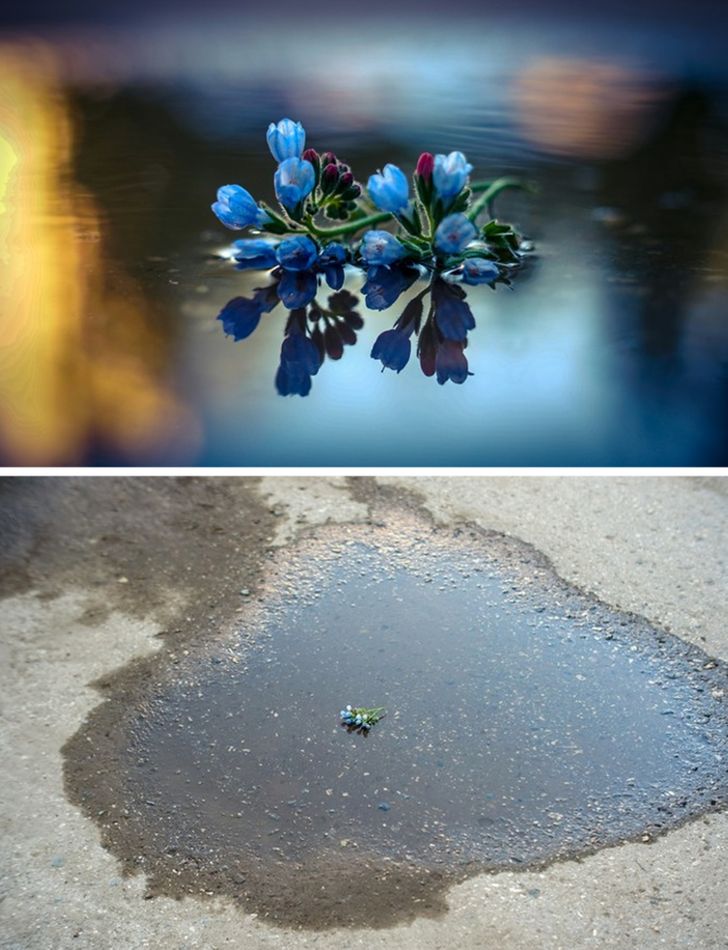 Magia lucrurilor neînsemnate