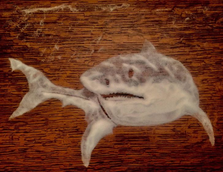 Un rechin făcut din sare