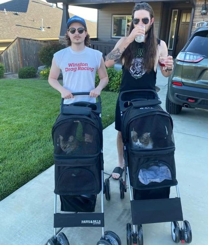 Doi bărbați care își plimbă pisicile în cărucioare