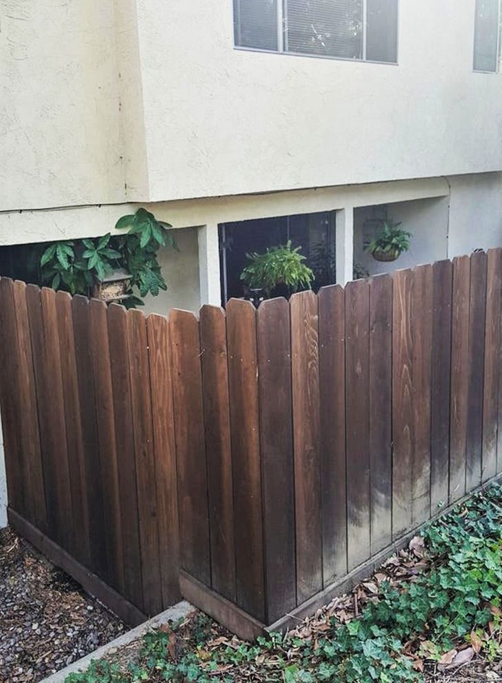 Poți găsi animalele ascunse în aceste imagini?