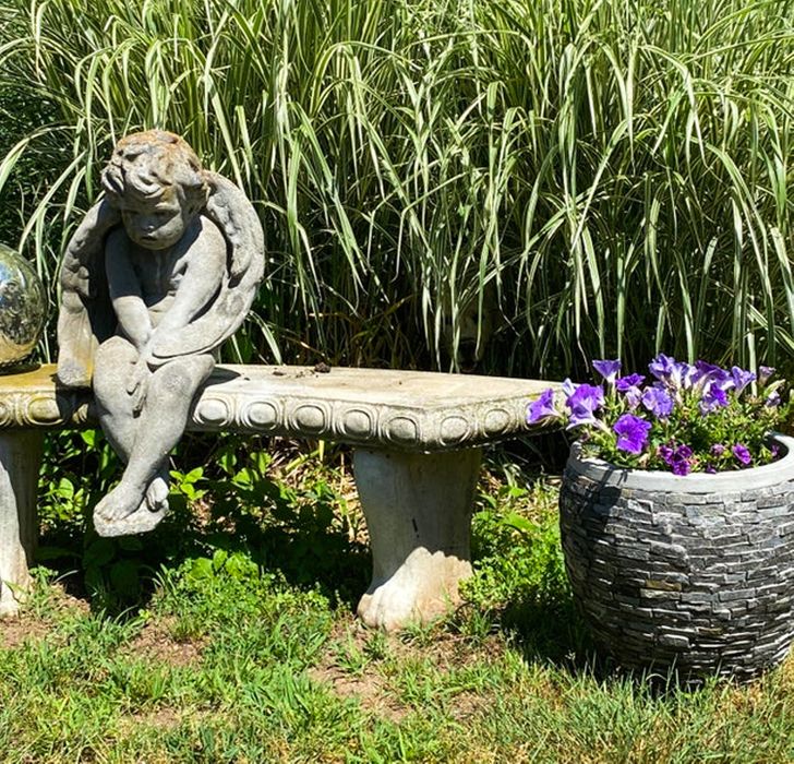 Poți găsi animalele ascunse în aceste imagini?