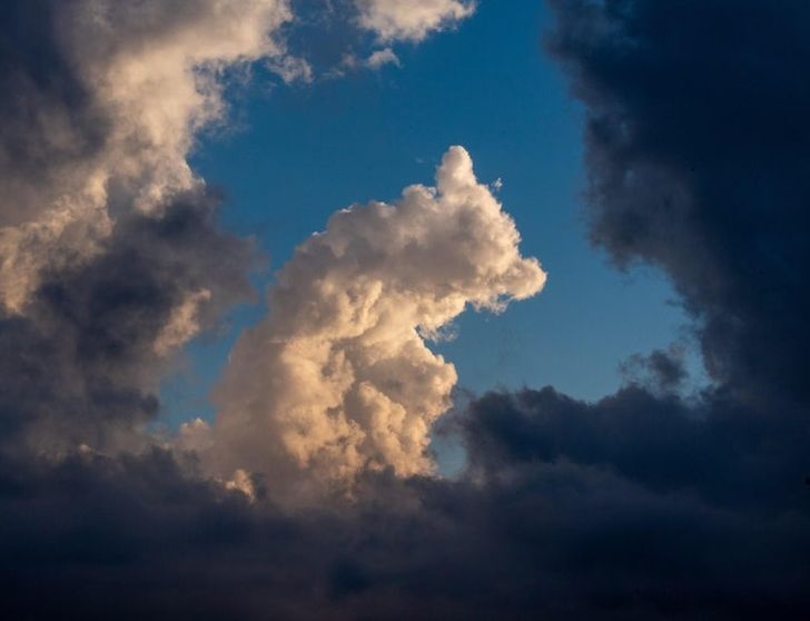 „Un nor care seamănă cu un urs”