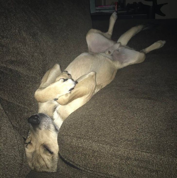 „Mereu adoarme în poziția asta și nu îl pot muta...”