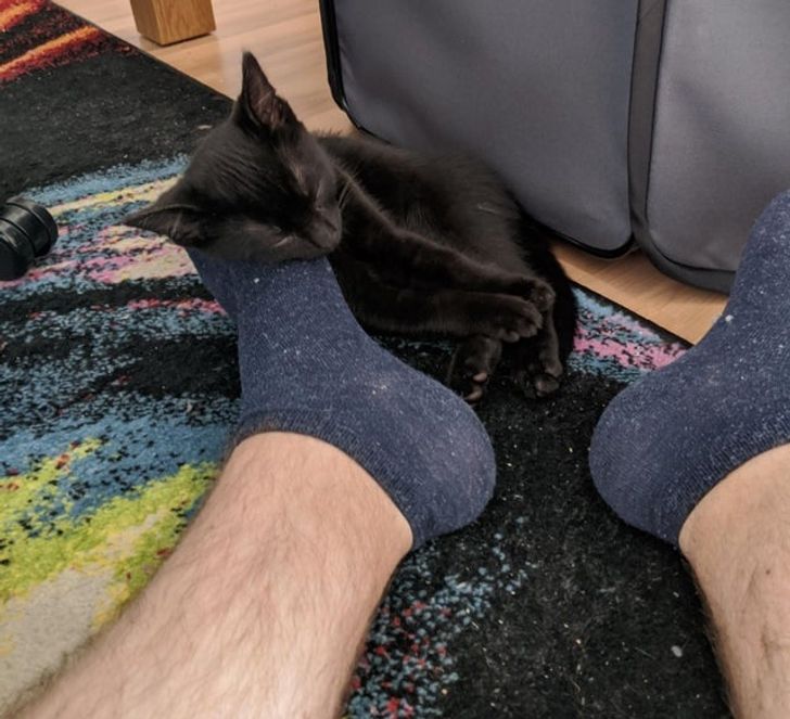 „Micuțul ăsta a adormit pe piciorul meu”