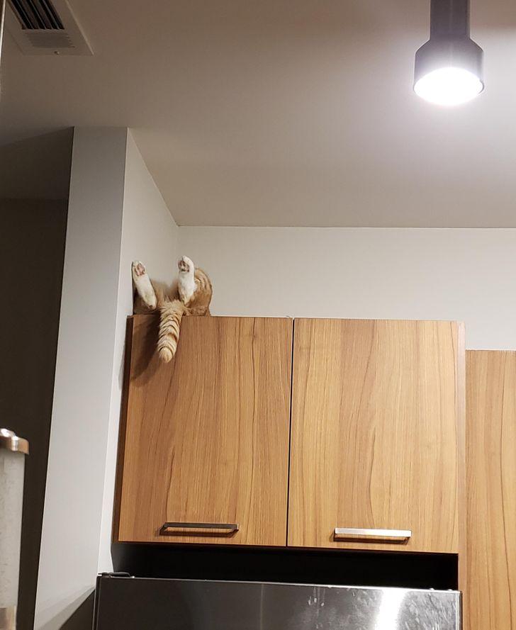 Stă întins pe spate, cu ochii larg deschiși și se uită pe tavan