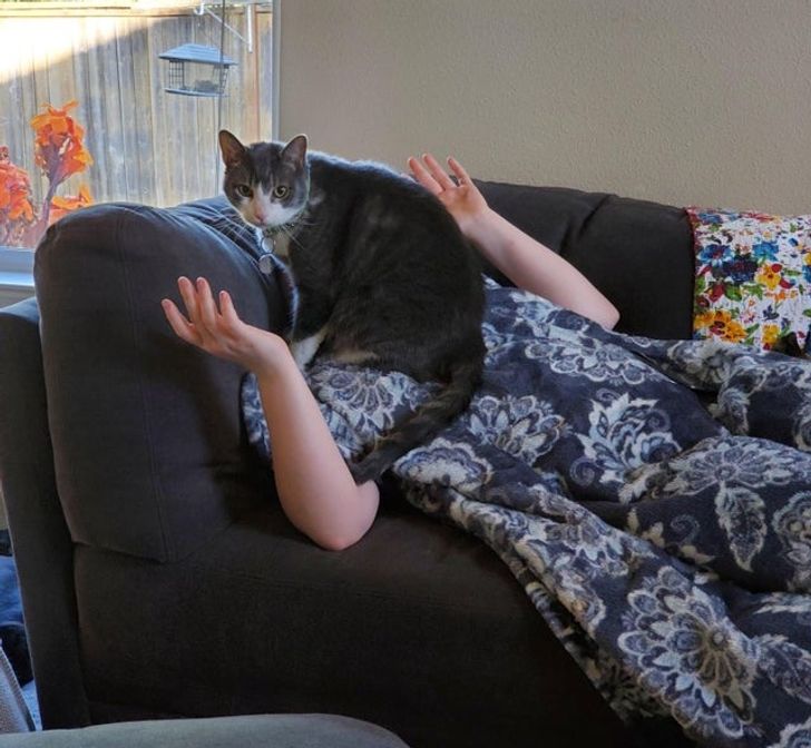 Dacă nu dormi cu Sammy, nu dormi deloc