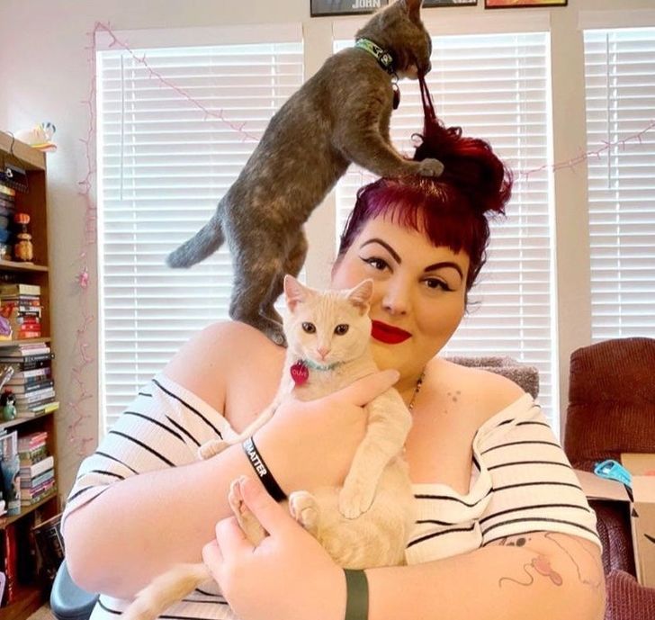 Când vrei să faci o poză cu pisicuțele