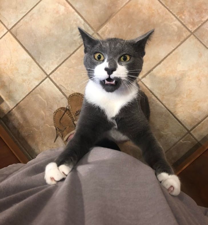 "Ia-mă în brațe acum!"