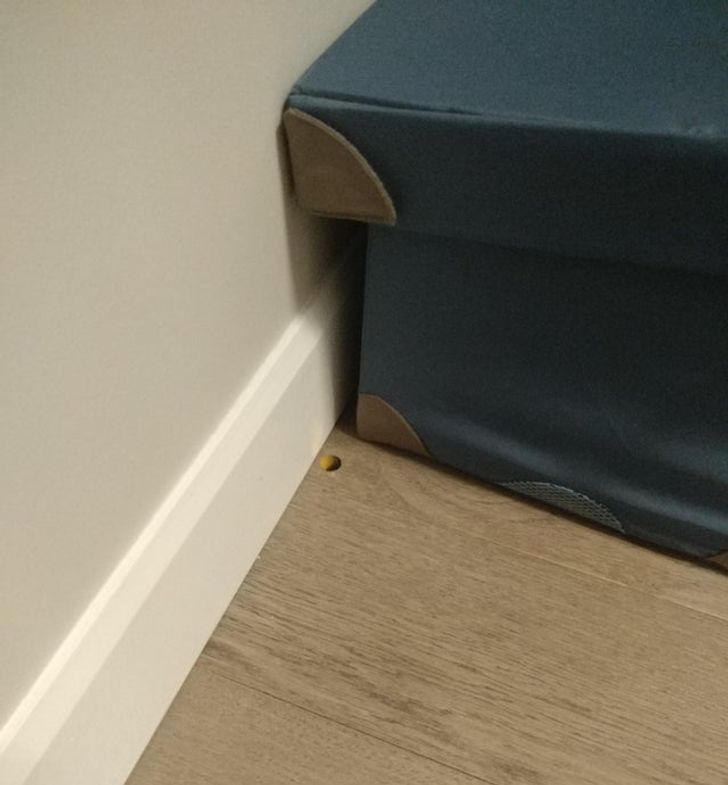 „O bucată circulară de confetti care arată ca o gaură în parchet”