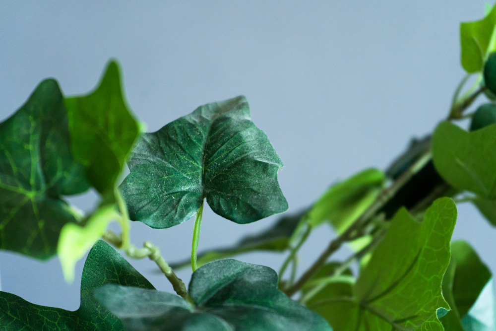 Înlătură praful de pe florile artificiale