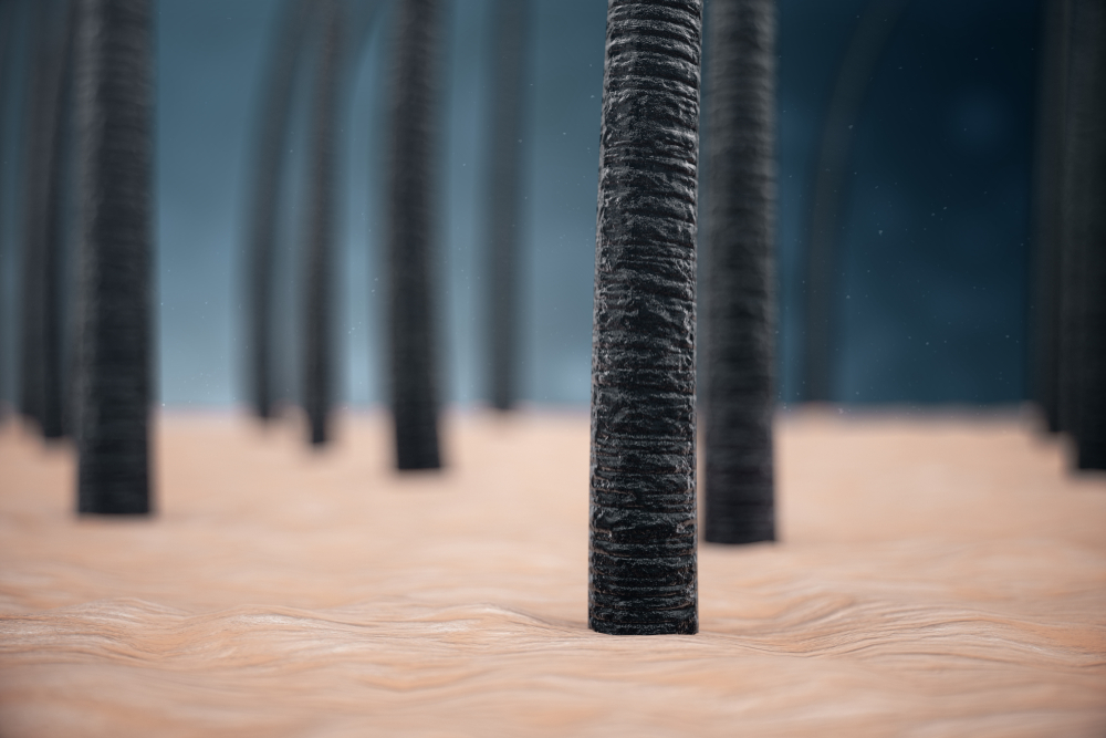 1. Testul folicului de păr