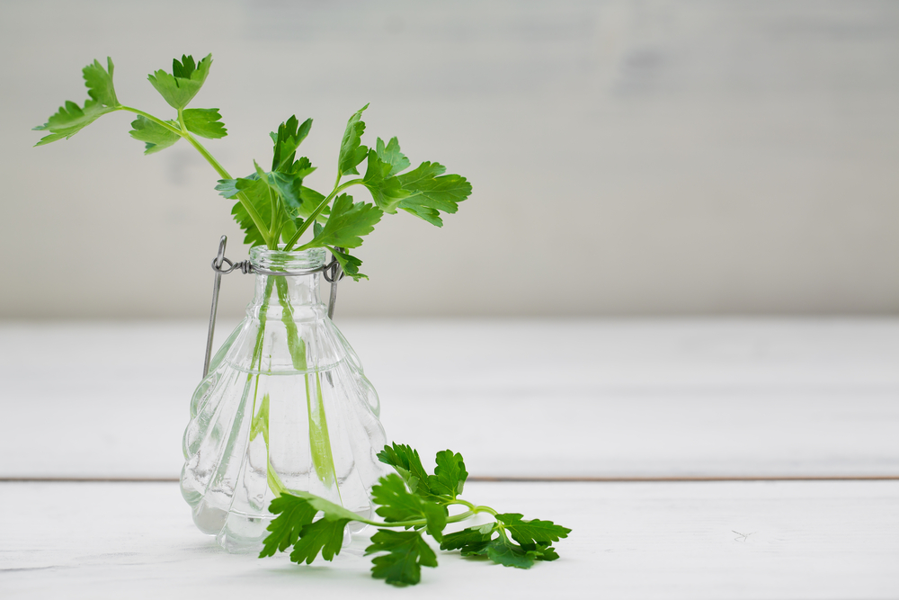 Pătrunjel, busuioc și sparanghel