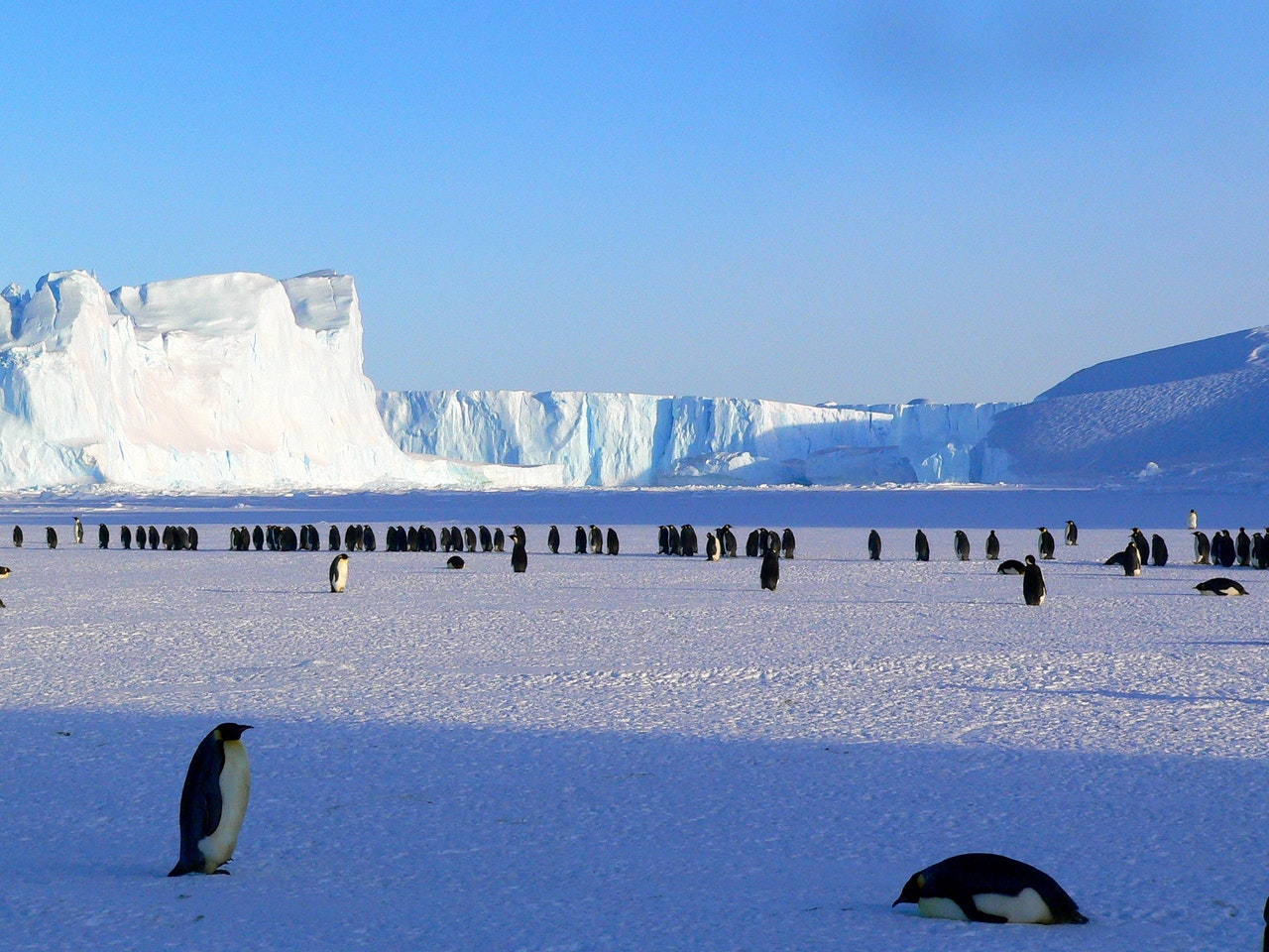 Domul Argus, Platoul Antarctic