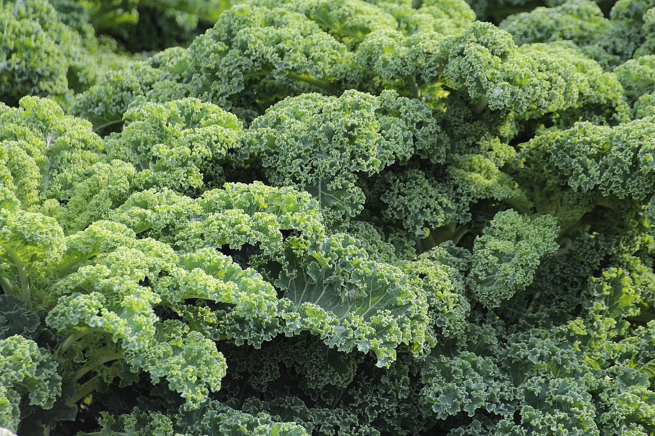 5. Kale