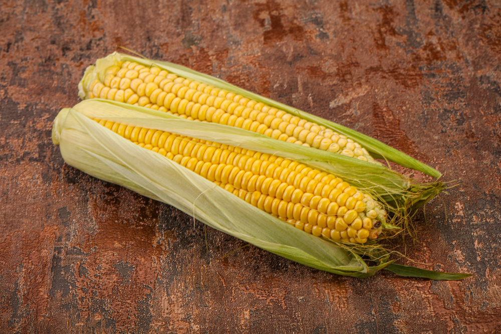 Sursă perfectă de fibre