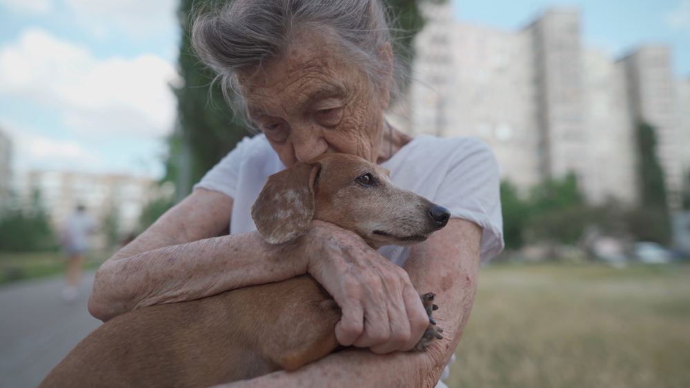 Sunteți cel mai bun prieten de-ai lui