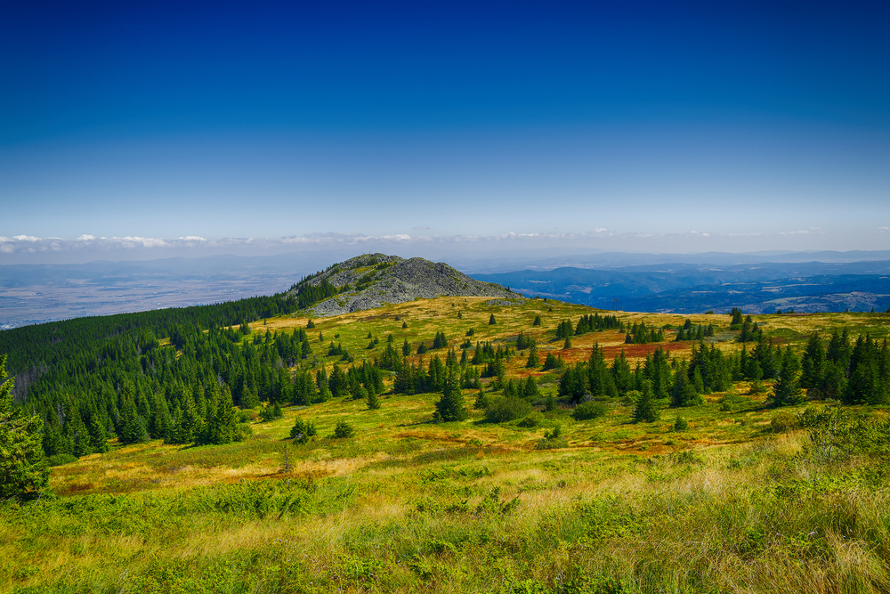 Vitosha