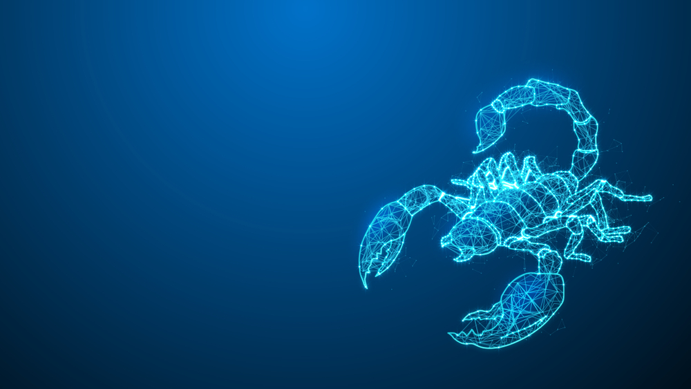 Scorpion