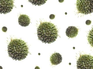 Apa combate cancerul