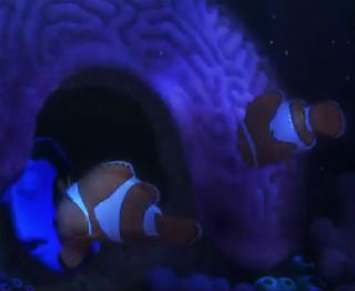 Finding Dory: In cautarea lui Dory