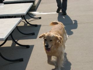 Viata sociala se poate imbunatati