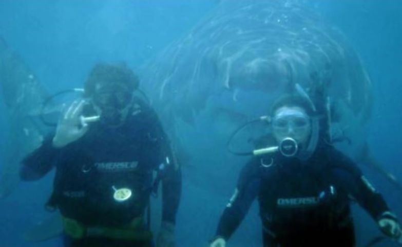 Scafandri, pe cale de a fi atacati de rechin