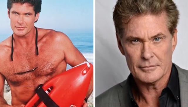 David Hasselhoff