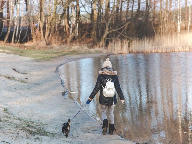 Viata sociala imbunatatita