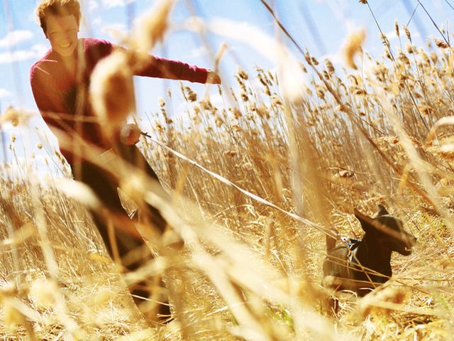 Oamenii care detin un animal de companie sunt mai sanatosi