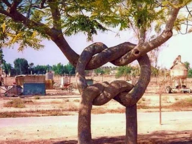 Imaginea vorbeste de la sine