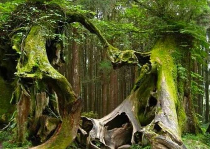 Priveste cu atentie!