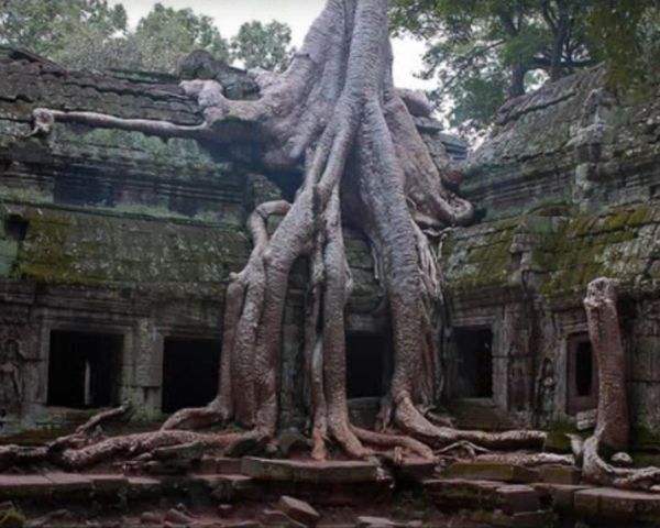 De-a dreptul spectaculos!