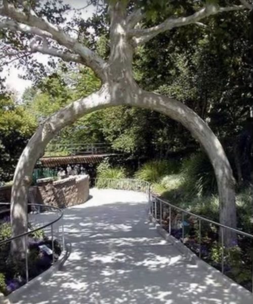 La o plimbare in parc