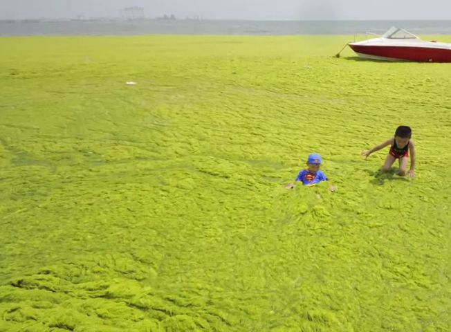 Poluarea cauzeaza probleme grave de sanatate