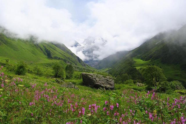 5. Valea Florilor, India