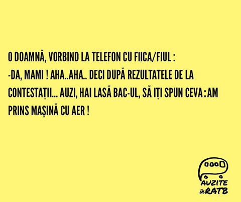 Auzita de Alex in 335